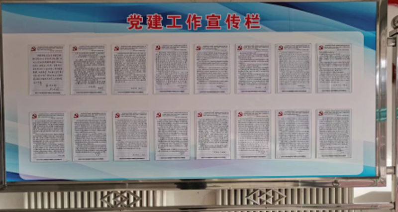 图片11